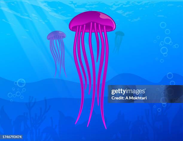 jellyfish in the sea. - diving ocean floor stock illustrations
