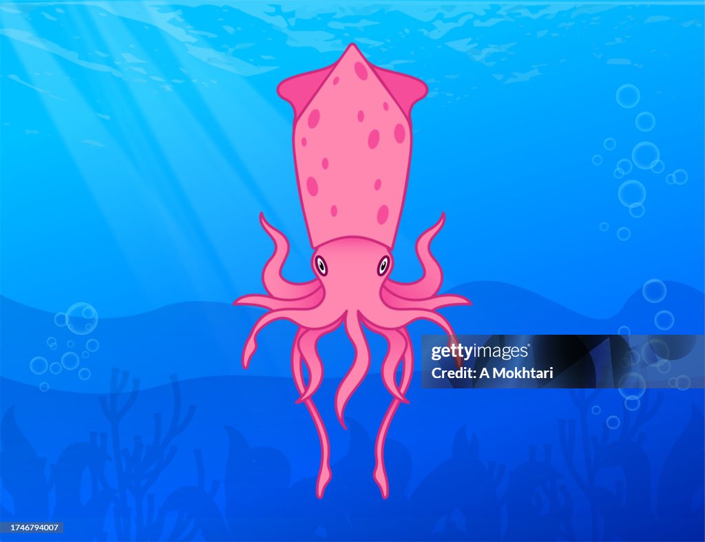 Squid in the sea.