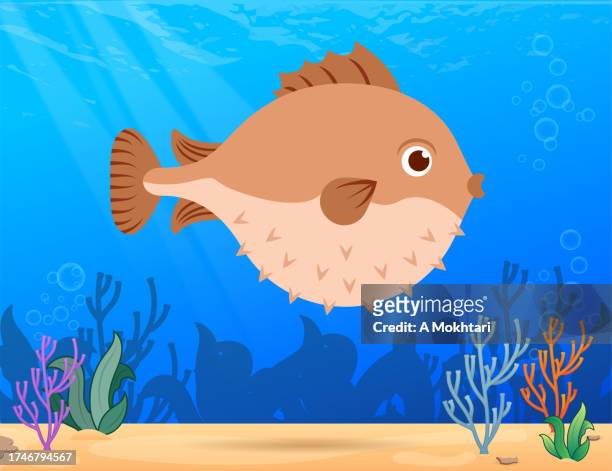 balloon fish. - puffer fish stock illustrations