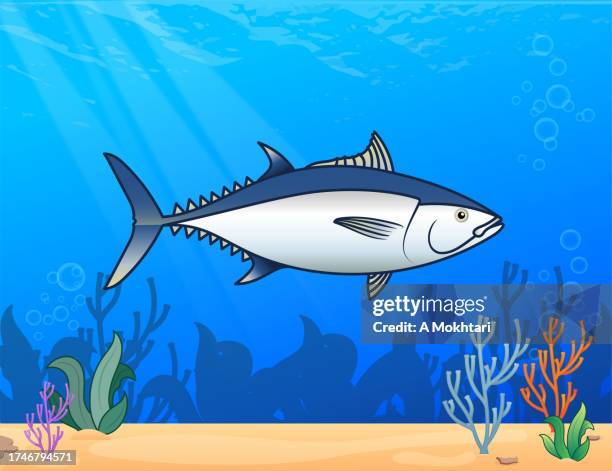 tuna fish in the sea. - bonito del norte stock illustrations