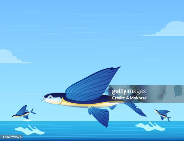 flying fish. - flying fish stock illustrations