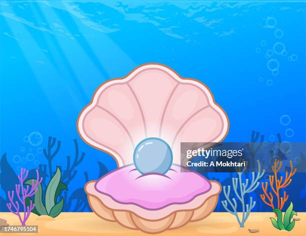 2,119 Sea Pearls Stock Photos, High-Res Pictures, and Images