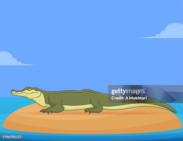 crocodile at the water's edge. - crocodile stock illustrations