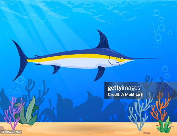 swordfish fish. - swordfish stock illustrations