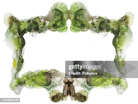 Vegetative frame Vegetative frame
