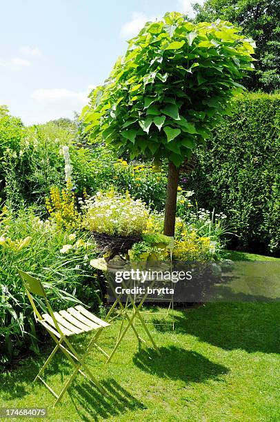 tranquil sitting corner with catalpa tree,folding chairs,side table - formele tuin stockfoto's en -beelden