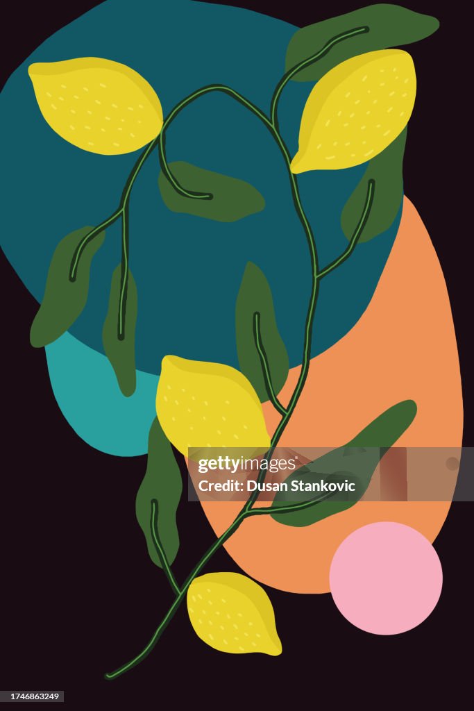 Lemon Abstract Composition High-Res Vector Graphic - Getty Images