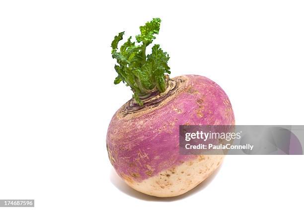 turnip - turnip stock pictures, royalty-free photos & images