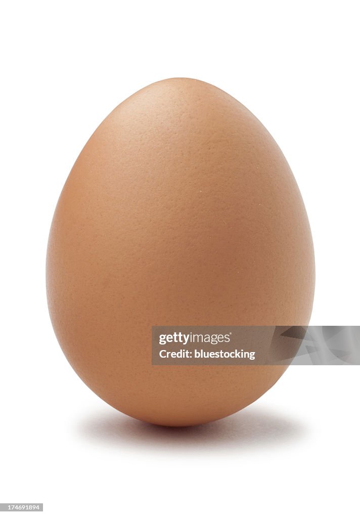 Egg