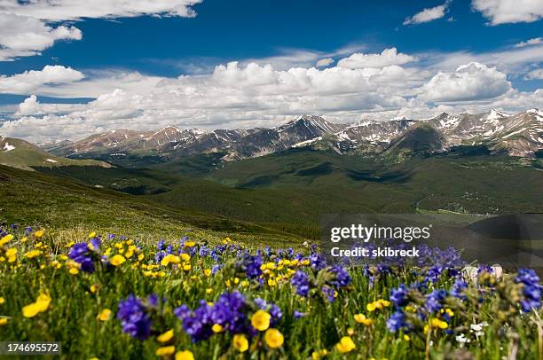 mountain range in the rockies - summit co stock pictures, royalty-free photos & images