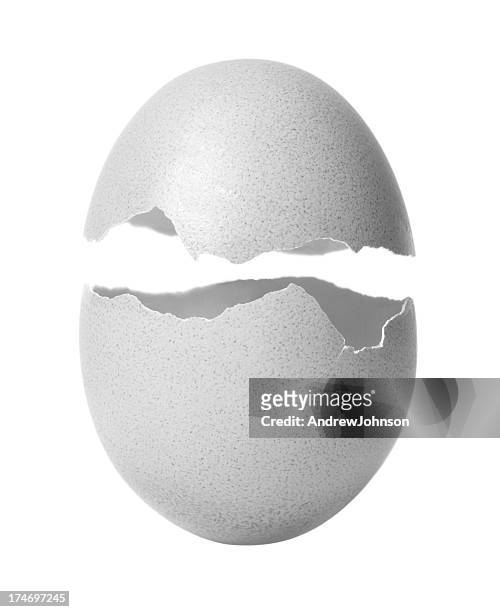 ei - cracked egg stock-fotos und bilder