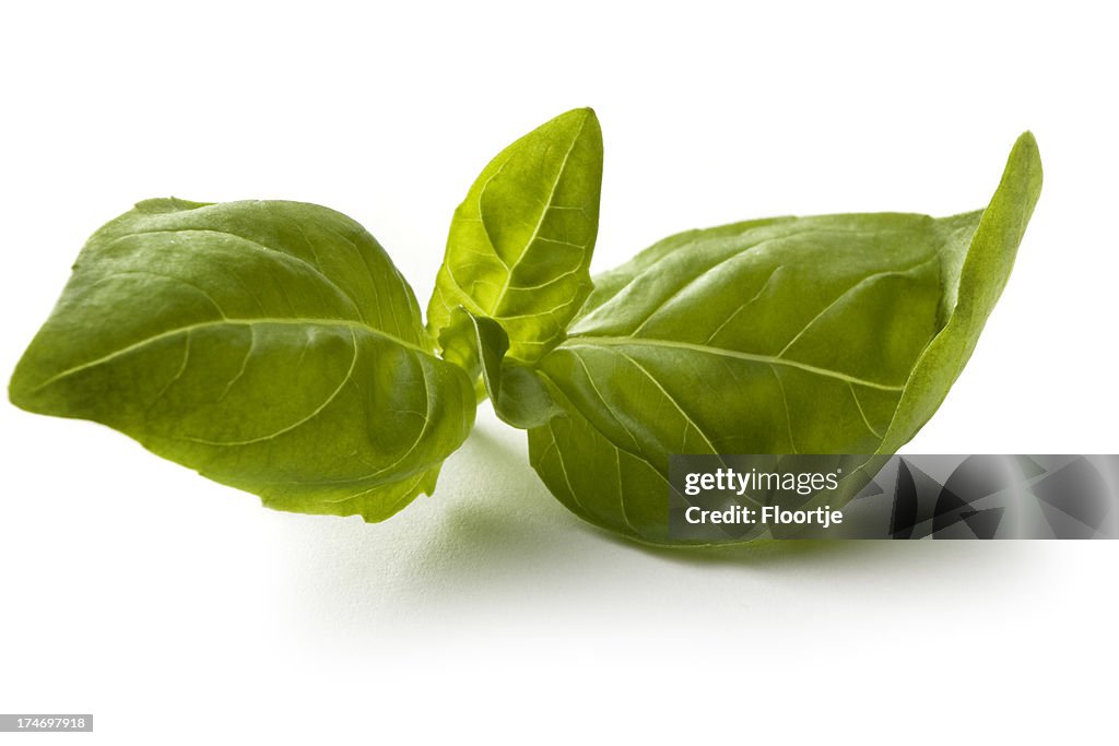 Fresh Herbs: Basil Isolated on White Background