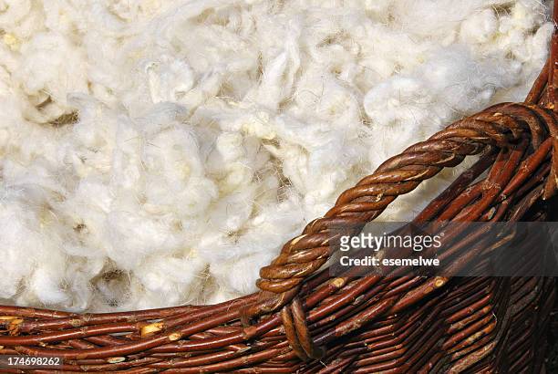 washed sheep wool - wool stock pictures, royalty-free photos & images