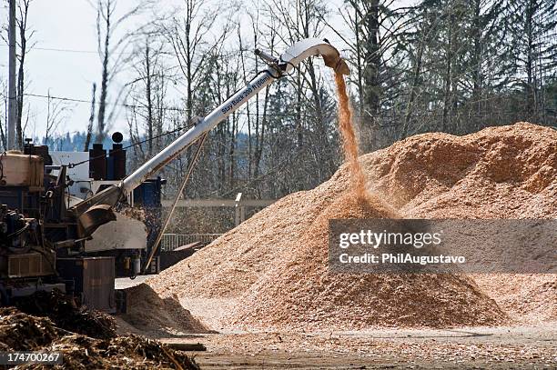 wood chips spewing from spout at sawmill - sawdust pile stock pictures, royalty-free photos & images