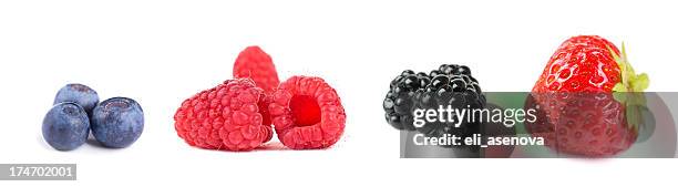 mixed berries - blackberries stock pictures, royalty-free photos & images