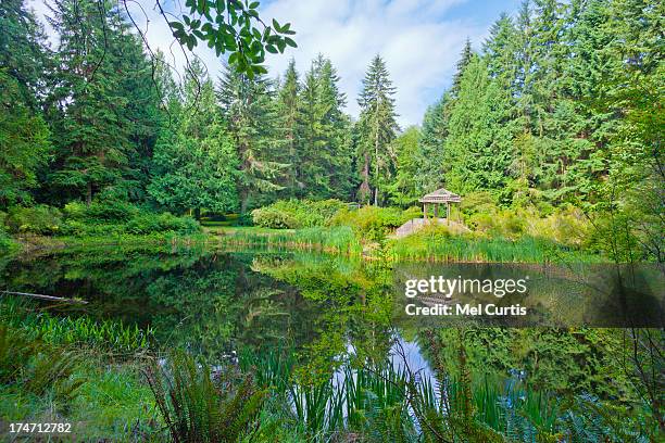 gazebo with reflection pond - langley washington fotografías e imágenes de stock