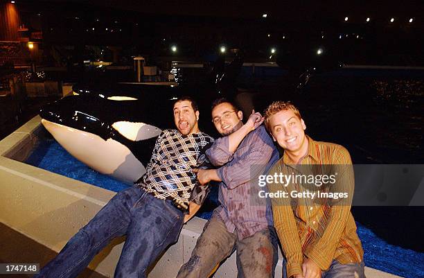 NSync band members Joey Fatone, Chris Kirkpatrick and Lance Bass smile for a photo with Shamu prior to a behind-scenes-tour to see beluga whales and...