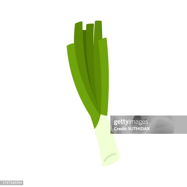 spring onion illustration - spring onion stock illustrations