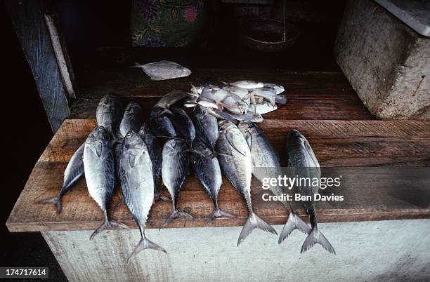 Pasar Fish 112 Pasar Ikan Stock Photos, High-Res Pictures, and Images - Getty Images