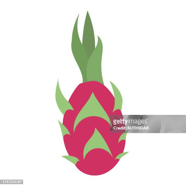 rad dragon fruit fruit illustration - pineapple plant stock illustrations