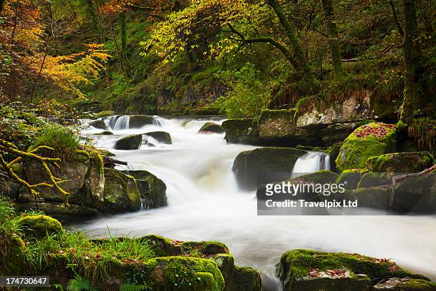 waterfall at watersmeet, exmoor, devon - exmoor national park imagens e fotografias de stock
