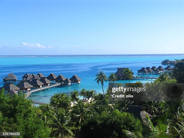 bungalows in french polynesia - polynesia stock pictures, royalty-free photos & images