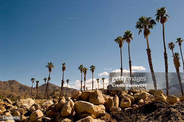 die rocky palm springs - palm springs california stock-fotos und bilder