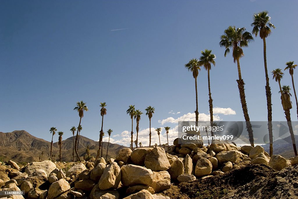 The Rocky Palm Springs