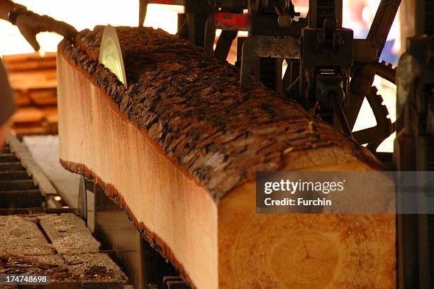 saw mill - logging mill stock pictures, royalty-free photos & images