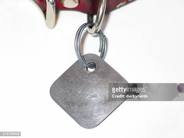 blank dog tag - collar stock pictures, royalty-free photos & images