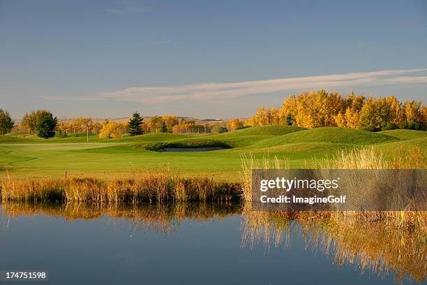 panorámica del campo de golf en el otoño de calgary - estanque fotografías e imágenes de stock