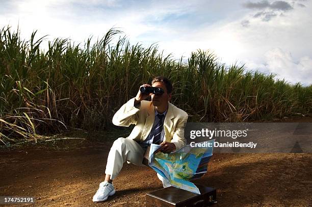 lost - businessman looking at map stock pictures, royalty-free photos & images