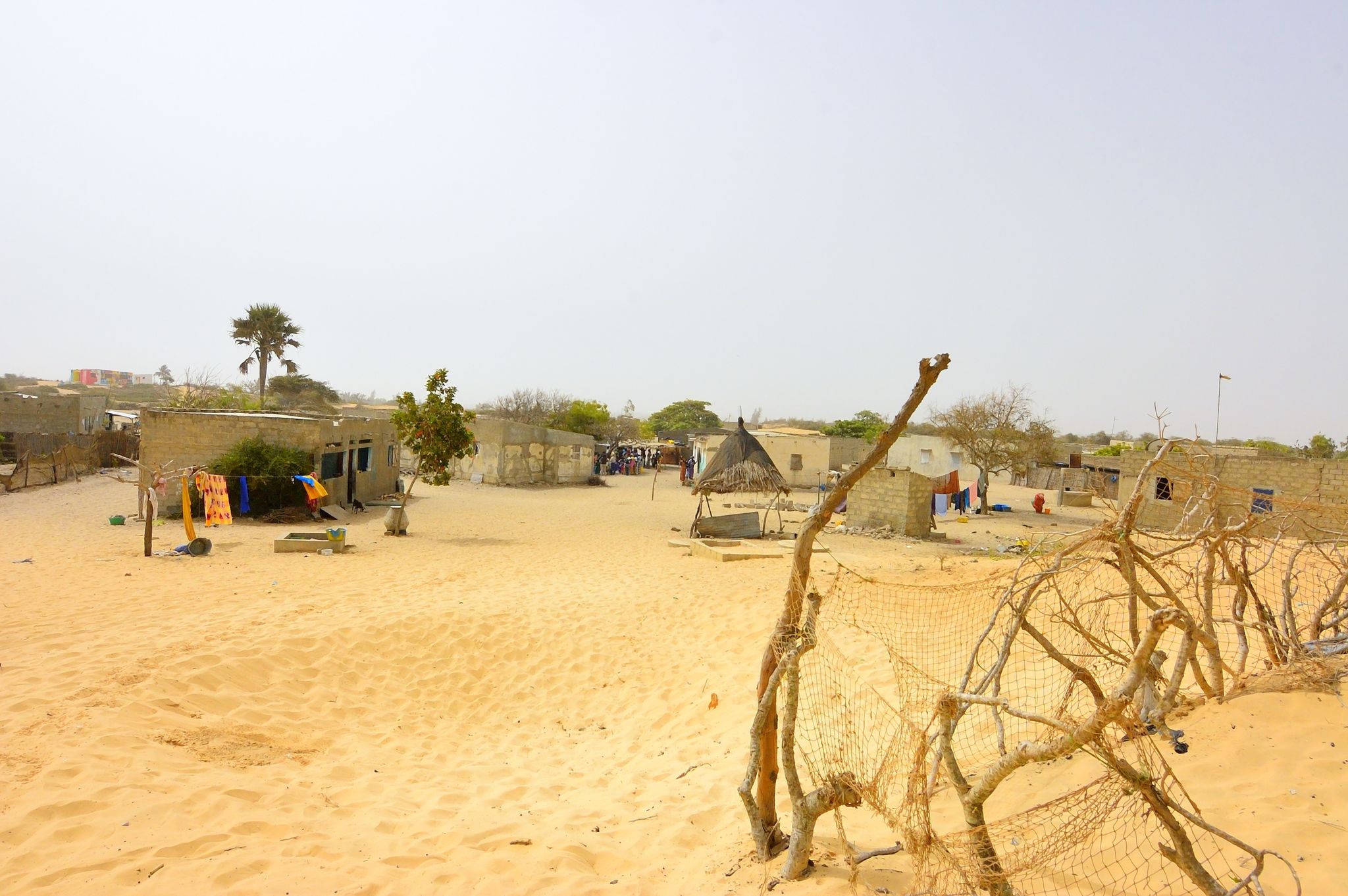 home search dakar