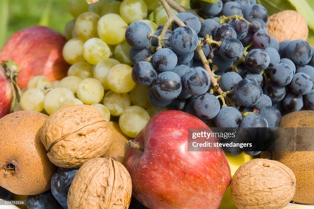 Selection of fresh healthy fruit and nuts from Autumn