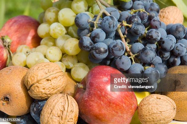 selection of fresh healthy fruit and nuts from autumn - stevedangers stock pictures, royalty-free photos & images