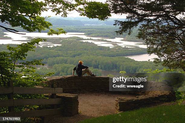 contemplating the view (boy sitting in center) - (wisconsin) stockfoto's en -beelden