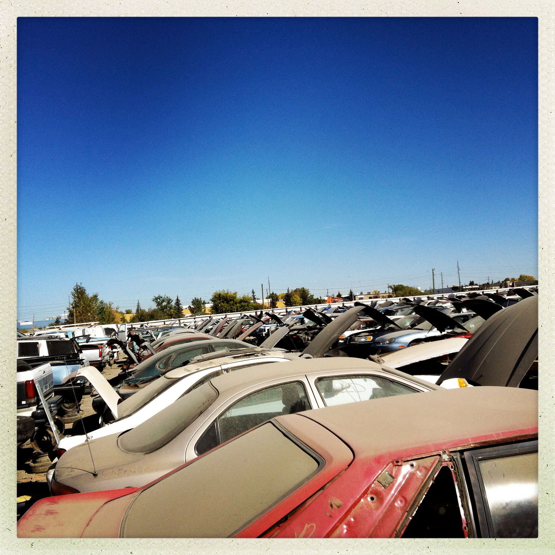 car dealership Calgary