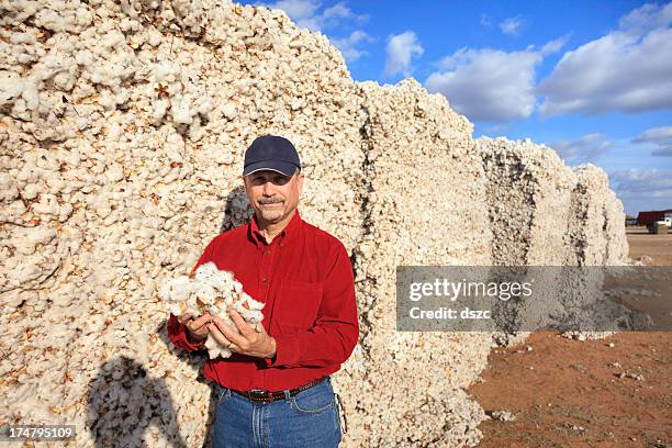 farmer inspects quality in the cotton modules - wattenbol stockfoto's en -beelden