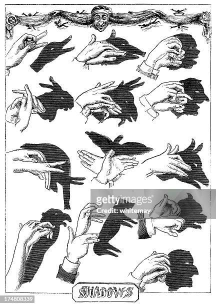 167 Hand Shadow Puppet Photos and Premium High Res Pictures - Getty Images