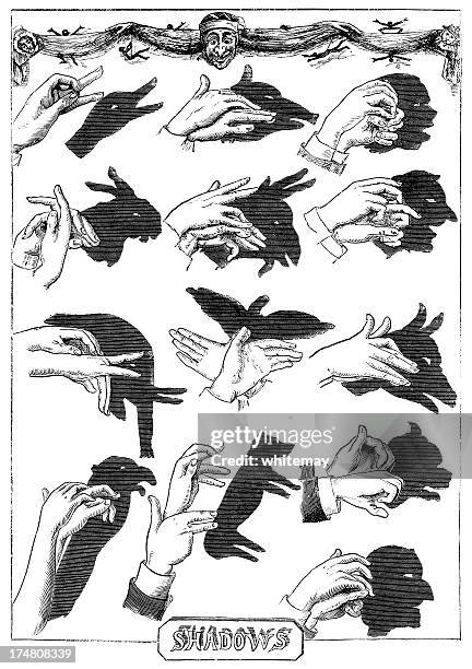 how to make shadow pictures - shadow puppets stock illustrations