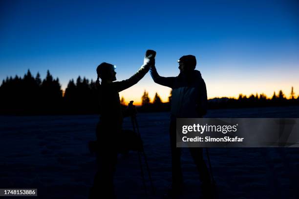 skiers high-fiving on snowy mountain - ski high five stock pictures, royalty-free photos & images