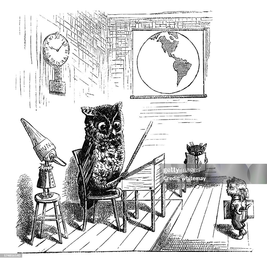 Owl teacher