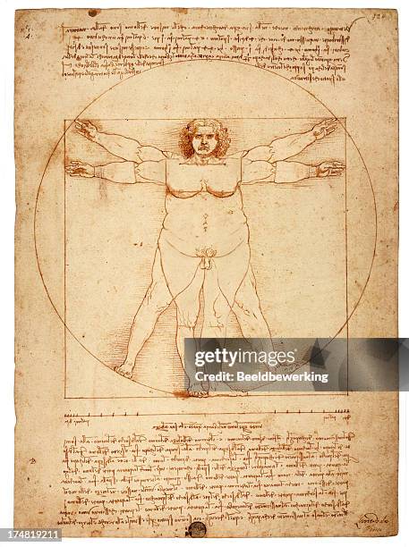 ilustraciones, imágenes clip art, dibujos animados e iconos de stock de sobrepeso figura en el círculo (el hombre de vitruvio) - leonardo da vinci