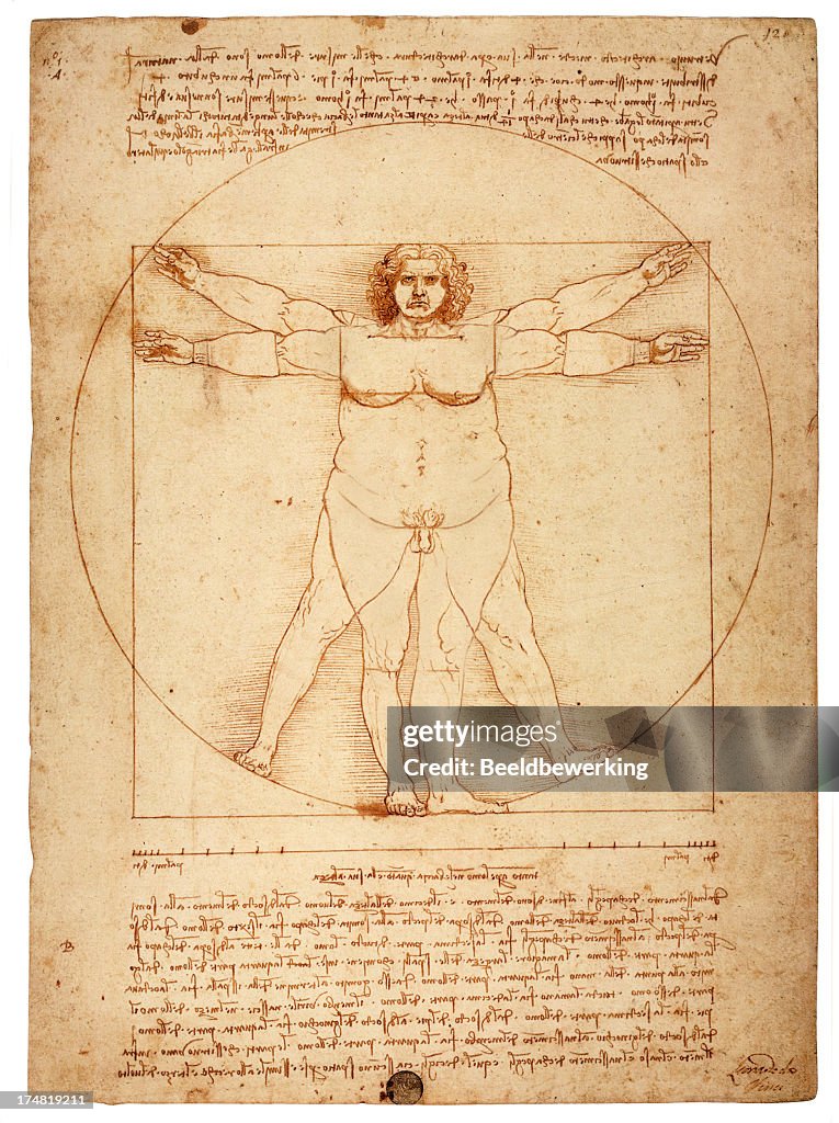 Overweight figure in the circle (Vitruvian Man)