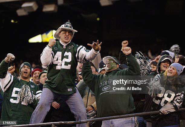 Fans of the New York Jets cheer on their team during the AFC wildcard game against the Indianapolis Colts at Giants Stadium on January 4, 2003 in...