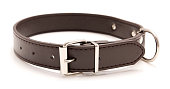 A brown leather dog collar with metal accents