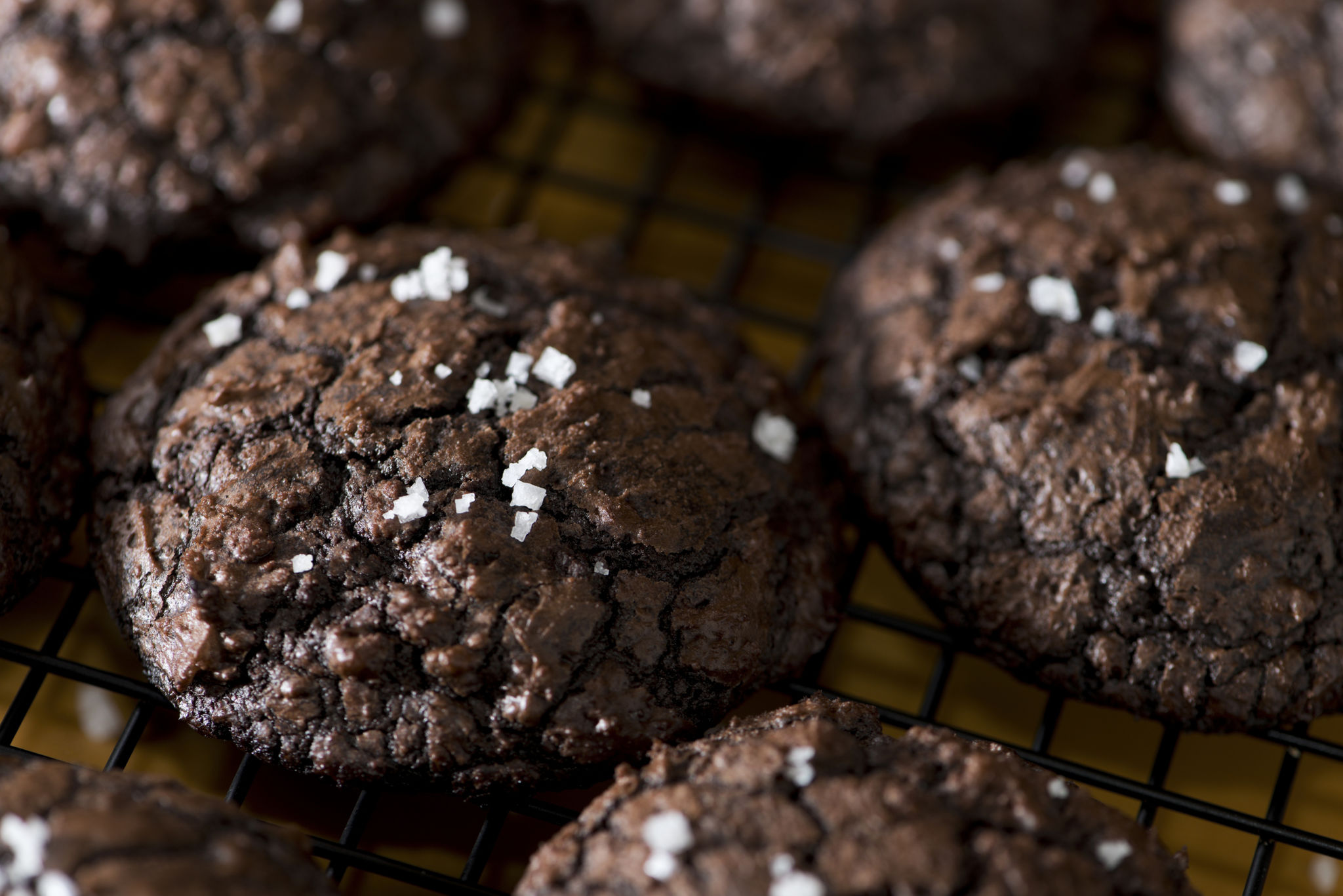 sea salt cookies