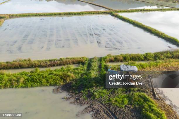 mud turning machine at flooded rice paddies. - flood preparation stock pictures, royalty-free photos & images