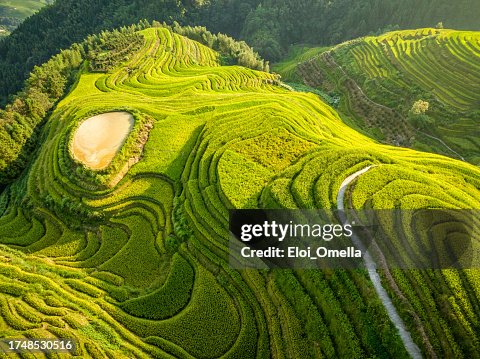 Campo de arroz en Longsheng Campo de arroz en Longsheng