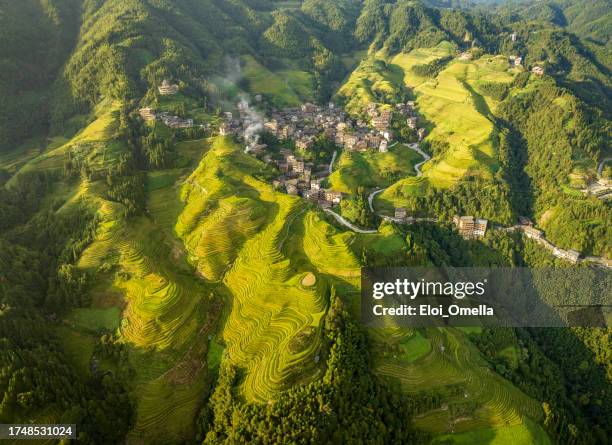 longji rice terrace - longsheng stock pictures, royalty-free photos & images